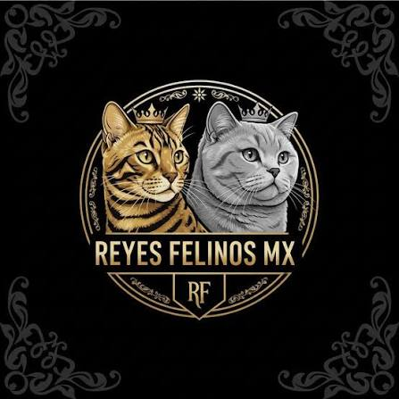 Reyes Felinos MX